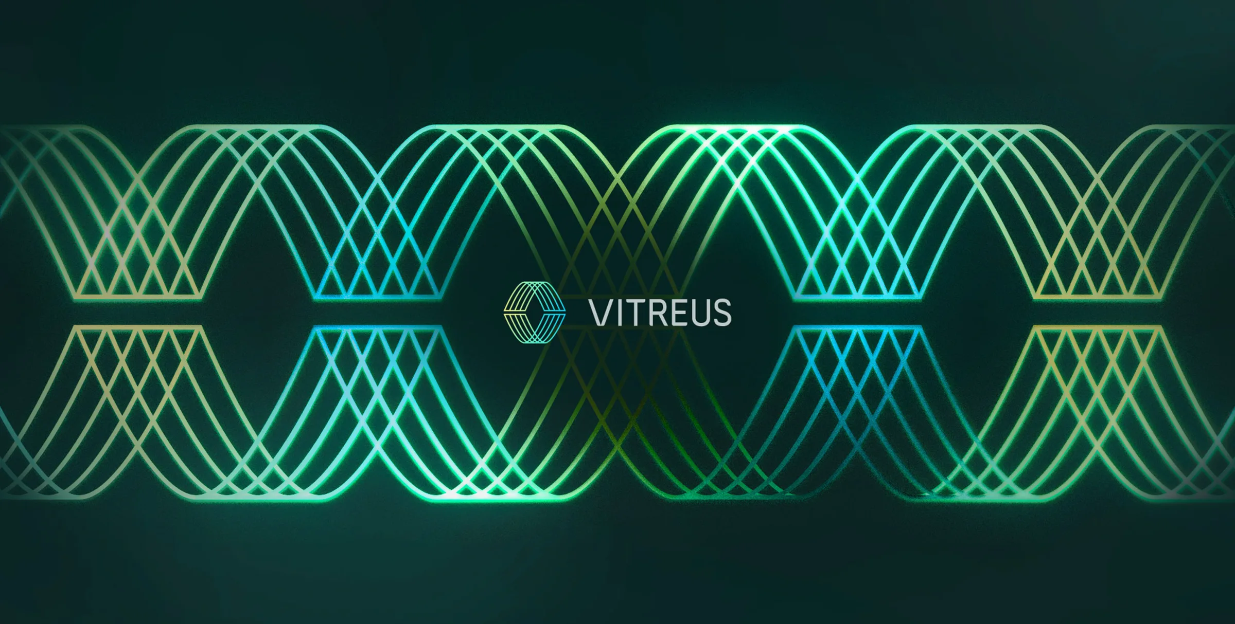 Vitreus — financial services case study